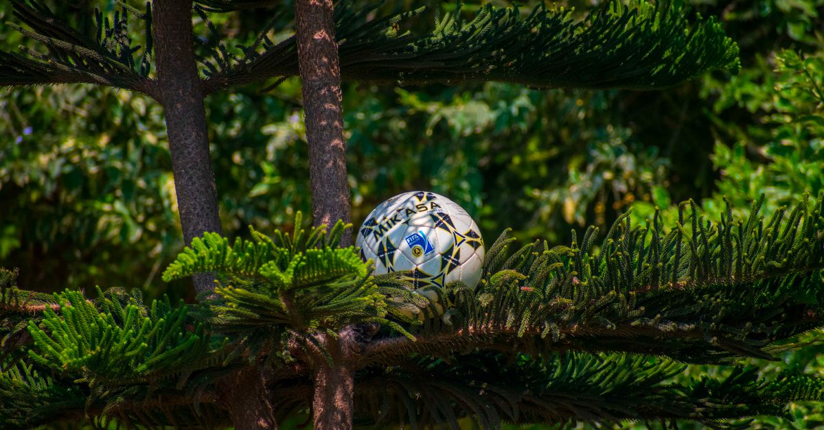 découvrez fifa ecology, une initiative innovante qui allie passion du football et engagement écologique pour un avenir durable.