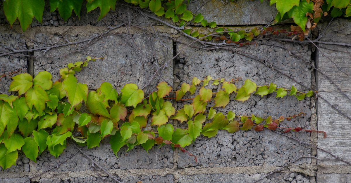 découvrez le concept de croissance verte, une approche durable qui allie développement économique et respect de l'environnement pour un avenir plus responsable.
