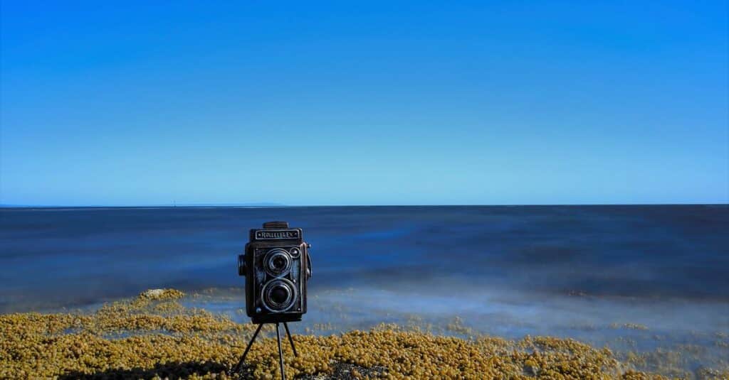 découvrez photographocene, une exploration artistique et photographique qui capture l'essence de notre époque à travers des images saisissantes et évocatrices.
