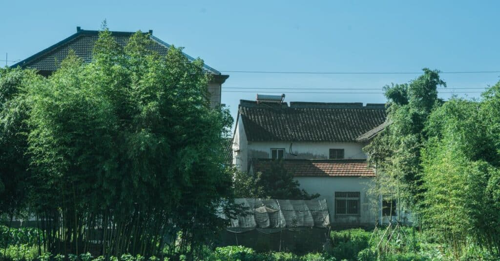 explorez les contrastes et les complémentarités entre la sensibilité rurale et les idées écologiques dans le contexte contemporain.