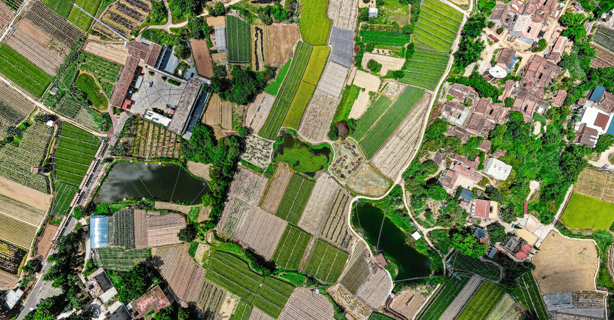 découvrez le contraste entre la sensibilité rurale et les idées écologiques, explorant leurs influences respectives sur la nature et le mode de vie.