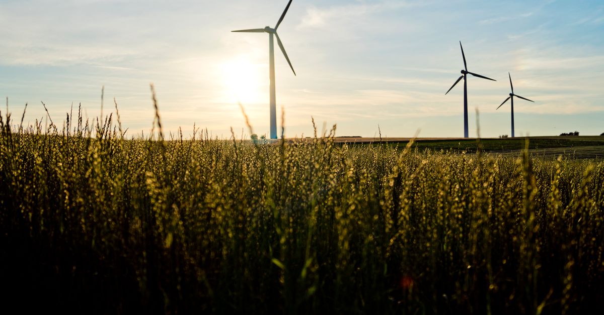 découvrez nos initiatives et conseils pour promouvoir la durabilité et protéger l'environnement pour les générations futures.