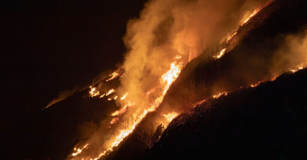 découvrez tout sur les incendies de forêt : causes, prévention, impact environnemental et conseils de sécurité pour protéger les zones à risque.