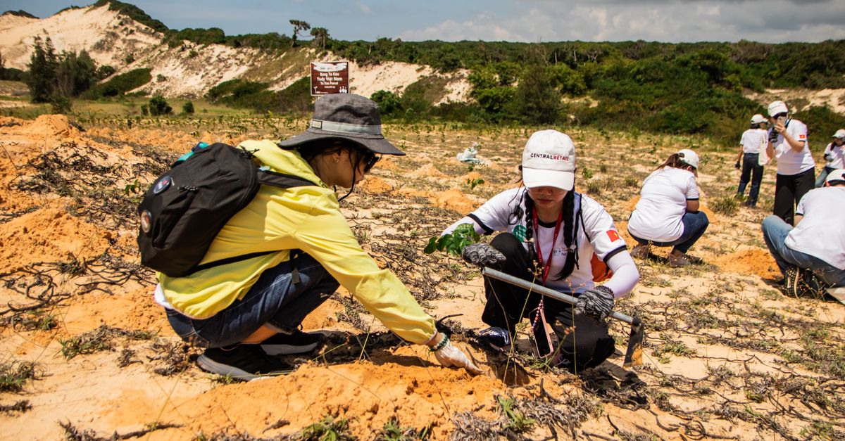 découvrez le projet youth ecology, une initiative dédiée à sensibiliser et engager les jeunes dans la protection de l'environnement et la promotion du développement durable.