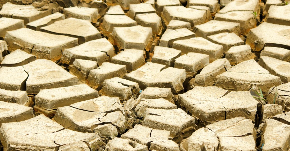 découvrez les enjeux majeurs de la crise climatique, ses impacts sur notre planète et les actions essentielles pour un avenir durable.