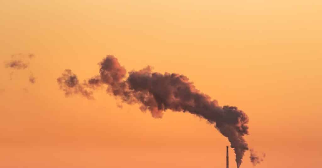 découvrez les politiques climatiques essentielles pour lutter contre le changement climatique et promouvoir un avenir durable. informez-vous sur les actions, réglementations et initiatives mondiales en matière d'environnement.