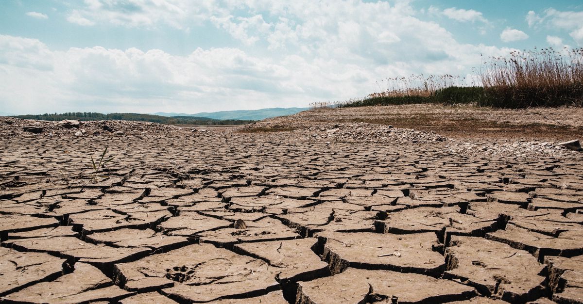 climatealert : suivez en temps réel les alertes et actualités sur le changement climatique pour mieux comprendre et agir.