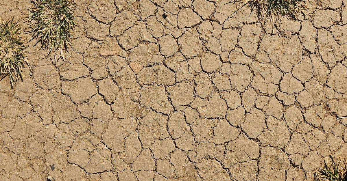 découvrez les causes, impacts et solutions liés à la sécheresse, un phénomène naturel aux conséquences environnementales et sociales importantes.