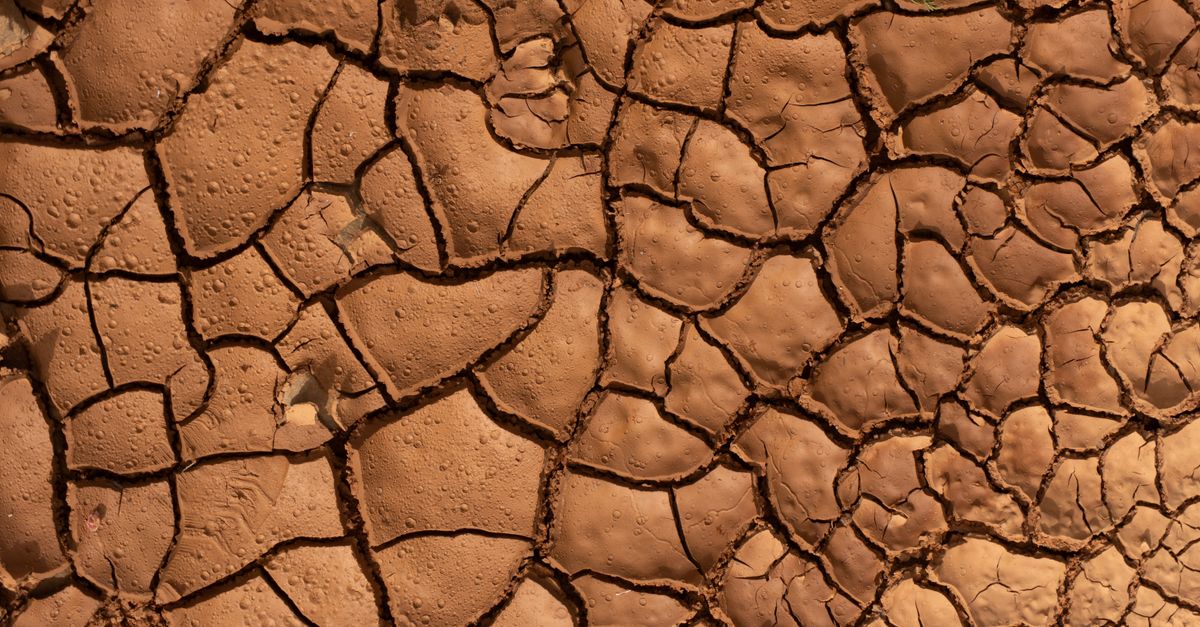 découvrez les causes, impacts et solutions face à la sécheresse, un phénomène climatique aux conséquences majeures sur l'environnement et l'agriculture.