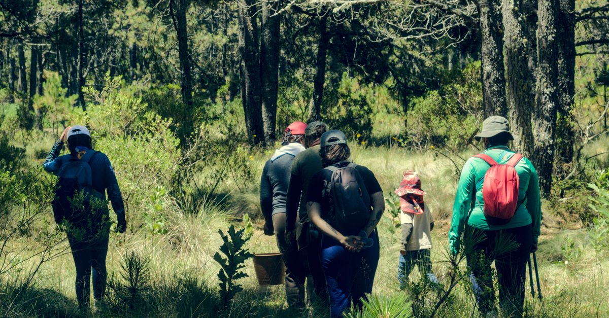 découvrez une approche écologique intégrée visant à préserver l'environnement grâce à des pratiques durables et respectueuses de la nature.