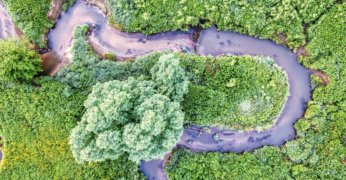 découvrez l'approche écologique, une méthode respectueuse de l'environnement qui favorise la durabilité et la protection des écosystèmes pour un avenir plus vert.