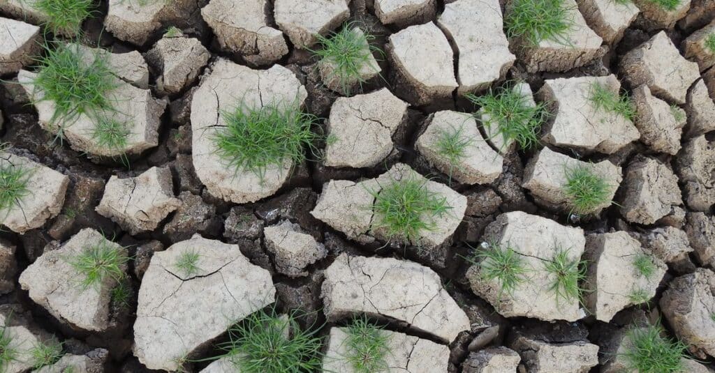 découvrez les principaux défis écologiques actuels et les solutions pour préserver notre planète face au changement climatique, à la perte de biodiversité et à la pollution.