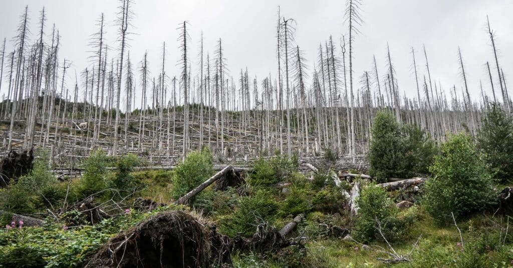 découvrez comment l'hypocrisie écologique affecte les efforts pour protéger l'environnement et pourquoi il est crucial d'agir avec sincérité pour un avenir durable.