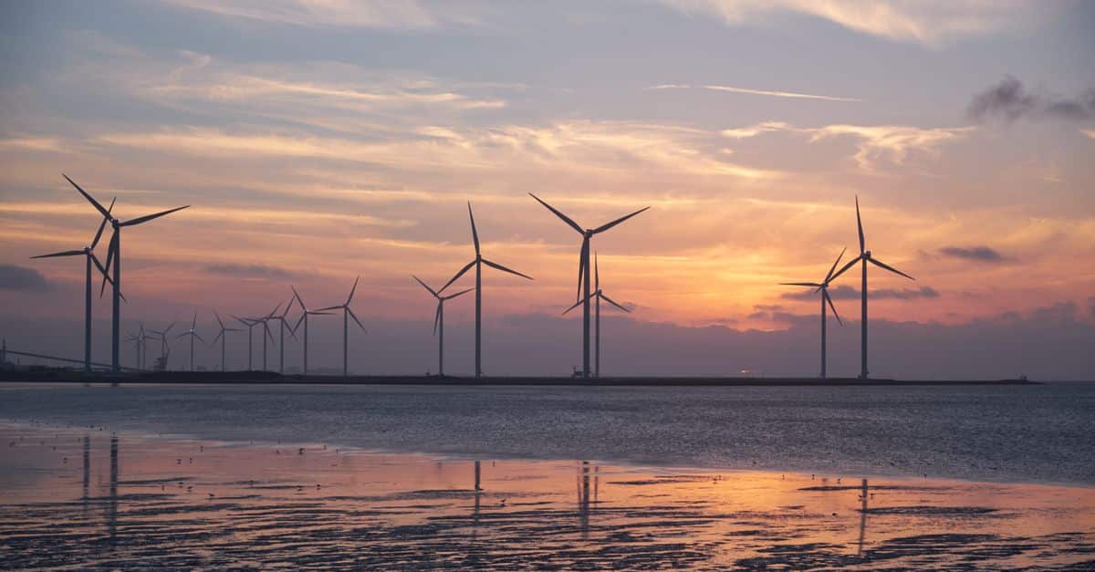 découvrez les enjeux et solutions de la transition écologique pour un avenir durable et respectueux de l'environnement.