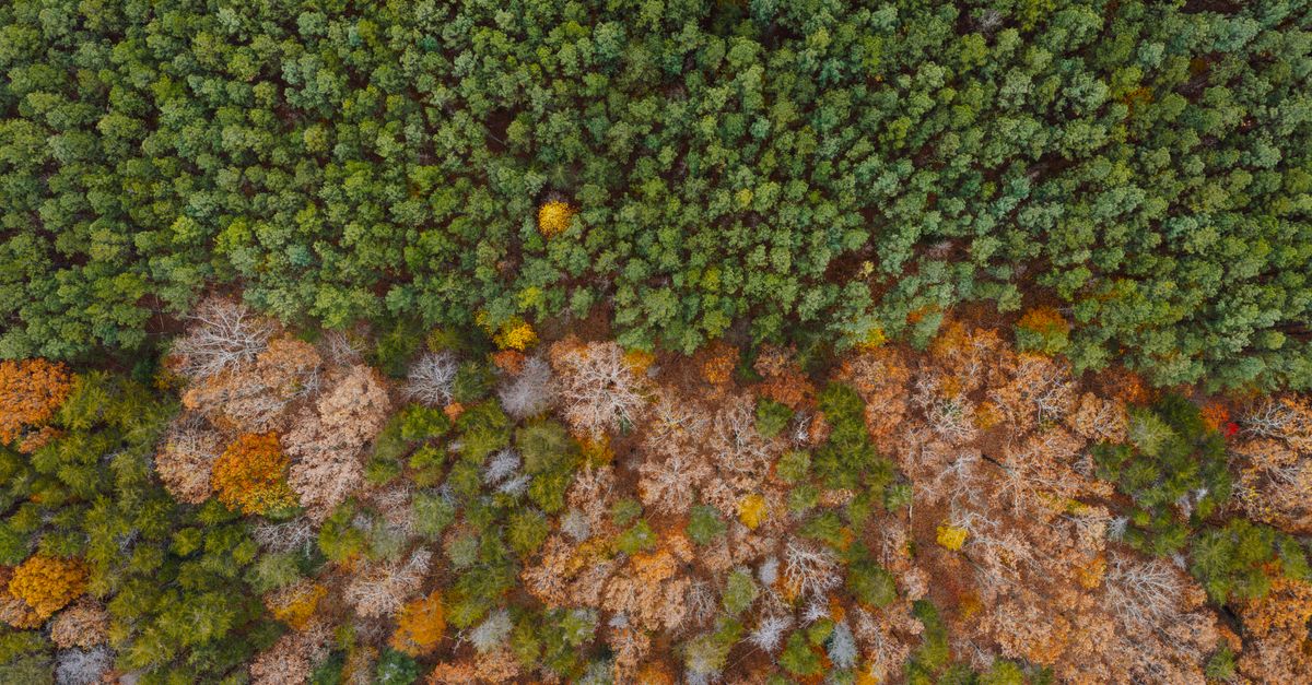 découvrez les enjeux et les solutions de la transition écologique pour un avenir durable, alliant protection de l'environnement et développement responsable.