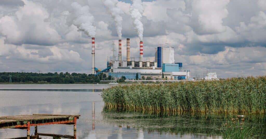 découvrez l'écologie : comprendre les interactions entre les êtres vivants et leur environnement pour préserver la planète.