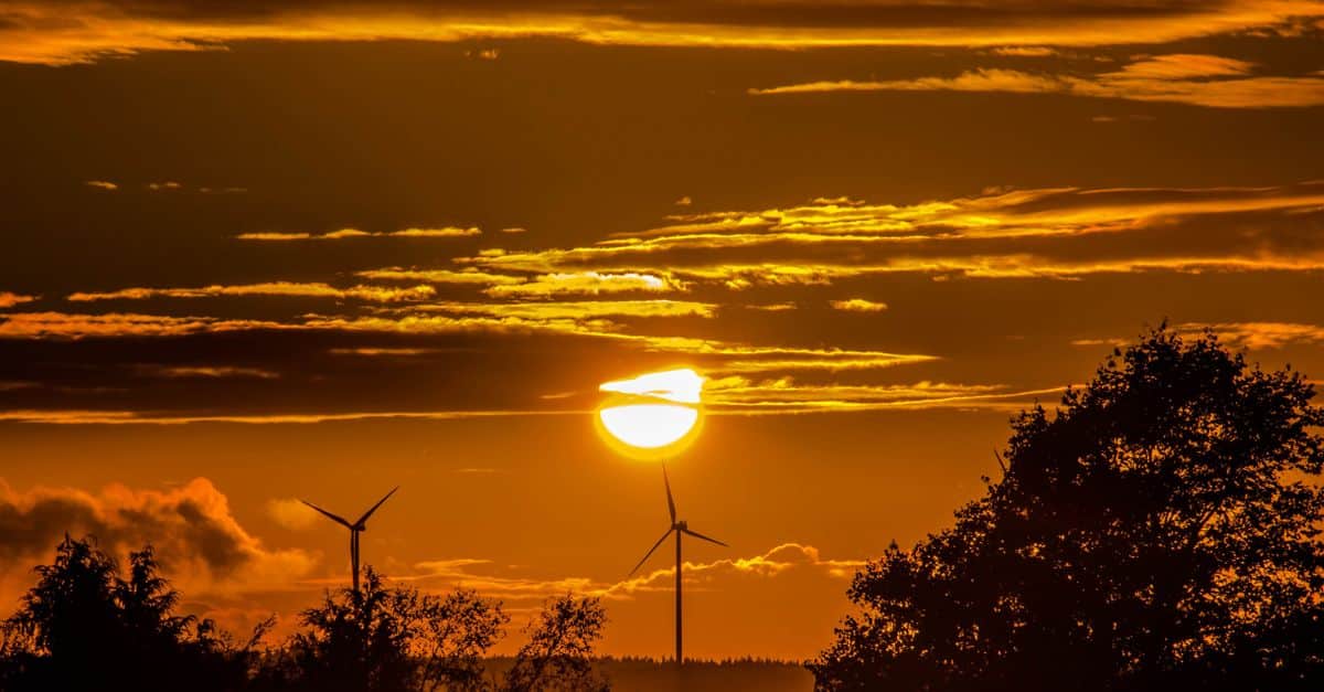découvrez tout sur l'écologie : protection de l'environnement, développement durable, biodiversité et actions pour un avenir plus vert.