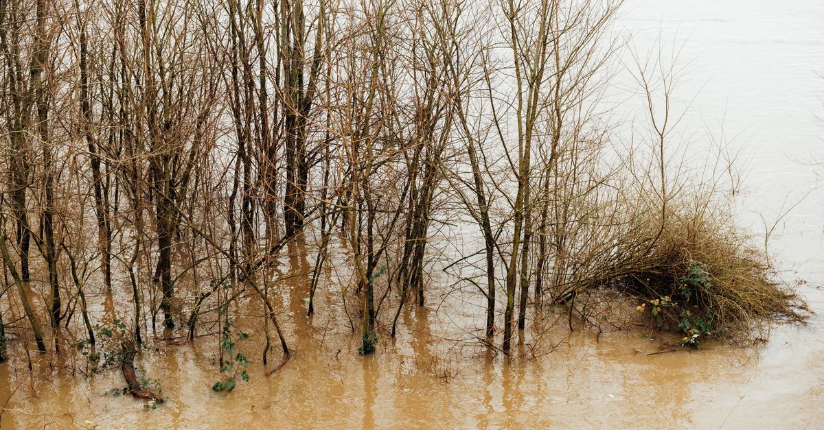 découvrez tout ce qu'il faut savoir sur les inondations éclair : causes, dangers, prévention et mesures de sécurité pour protéger vos biens et votre famille.