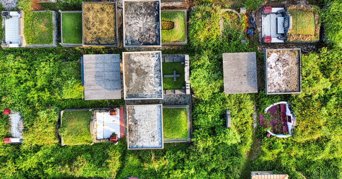 découvrez le green burial, une méthode d'inhumation écologique respectueuse de l'environnement, favorisant la décomposition naturelle et la préservation de la nature.