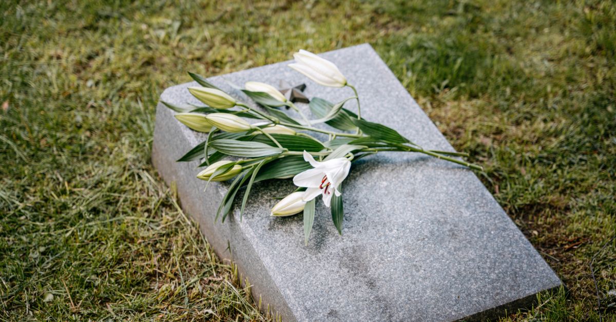 découvrez le green burial, une méthode d'inhumation écologique respectueuse de la nature, favorisant la décomposition naturelle et la préservation de l'environnement.