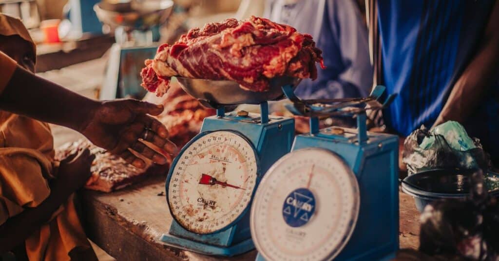 découvrez les bénéfices de la réduction de la consommation de viande pour la santé, l'environnement et le bien-être animal. adoptez des alternatives durables et savoureuses.