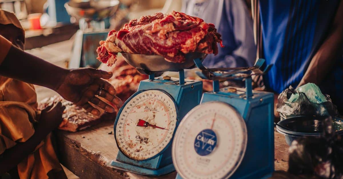 découvrez les bénéfices de la réduction de la consommation de viande pour la santé, l'environnement et le bien-être animal. adoptez des alternatives durables et savoureuses.