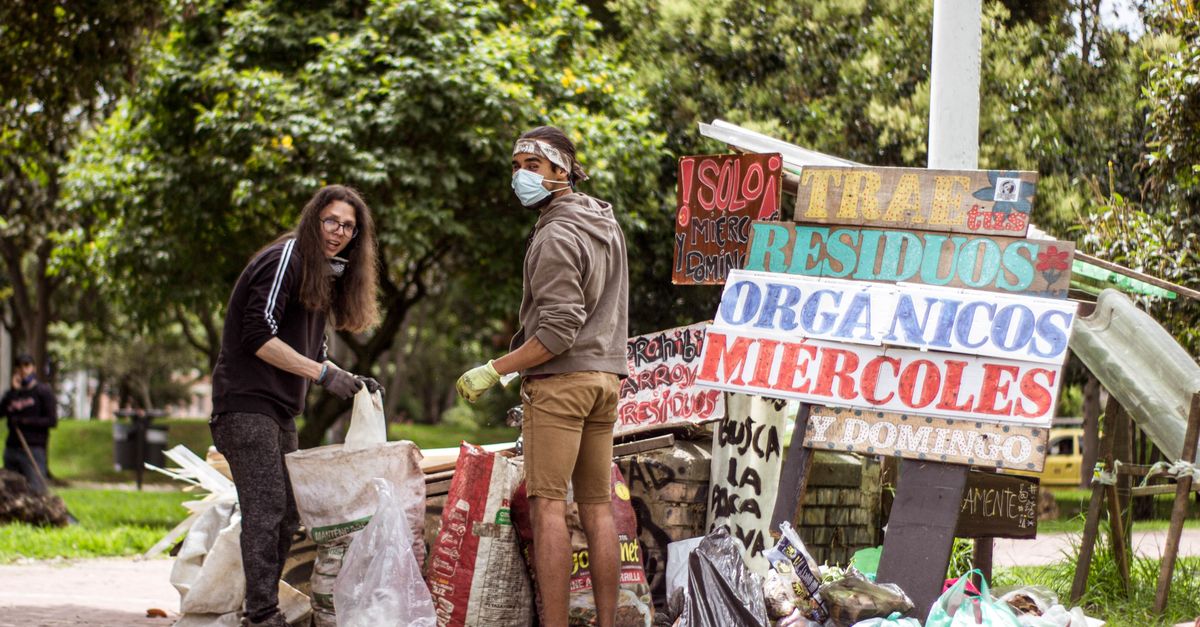 découvrez la socio-écologie, une approche intégrée qui combine les enjeux sociaux et environnementaux pour promouvoir un développement durable et équitable.