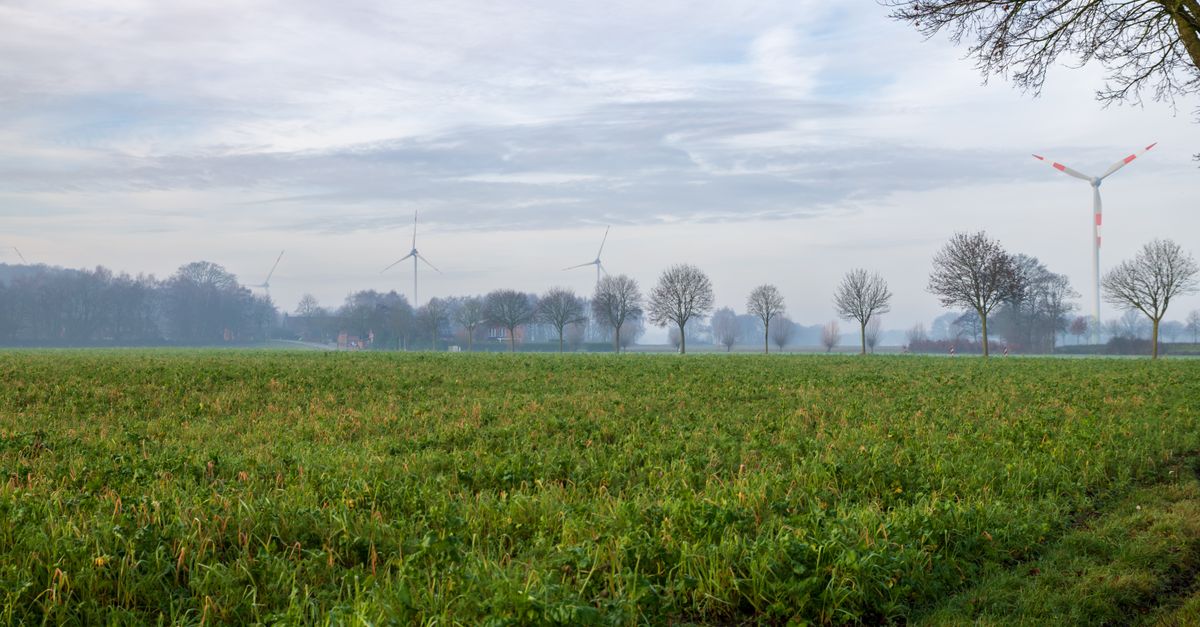 découvrez nos initiatives et conseils pour promouvoir la durabilité, protéger l'environnement et adopter des pratiques écoresponsables au quotidien.
