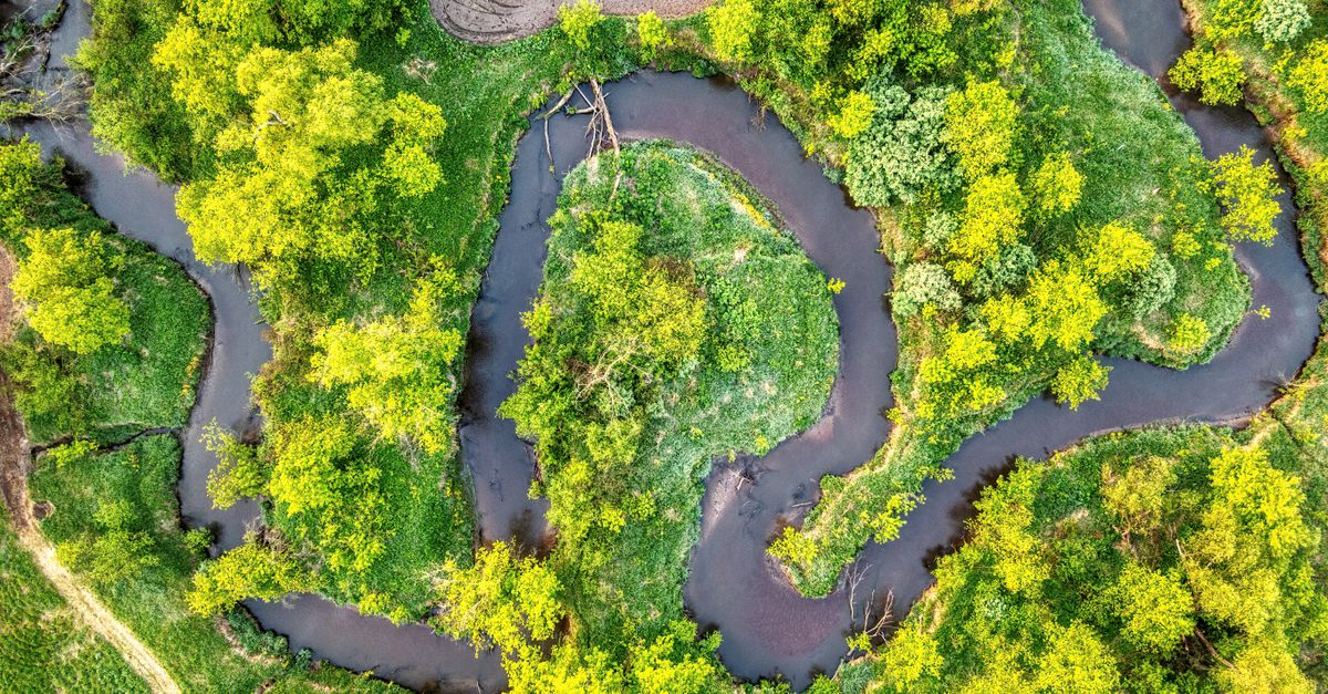 découvrez l'écologie systémique, une approche intégrée qui étudie les interactions complexes entre les organismes et leur environnement pour mieux comprendre les écosystèmes.