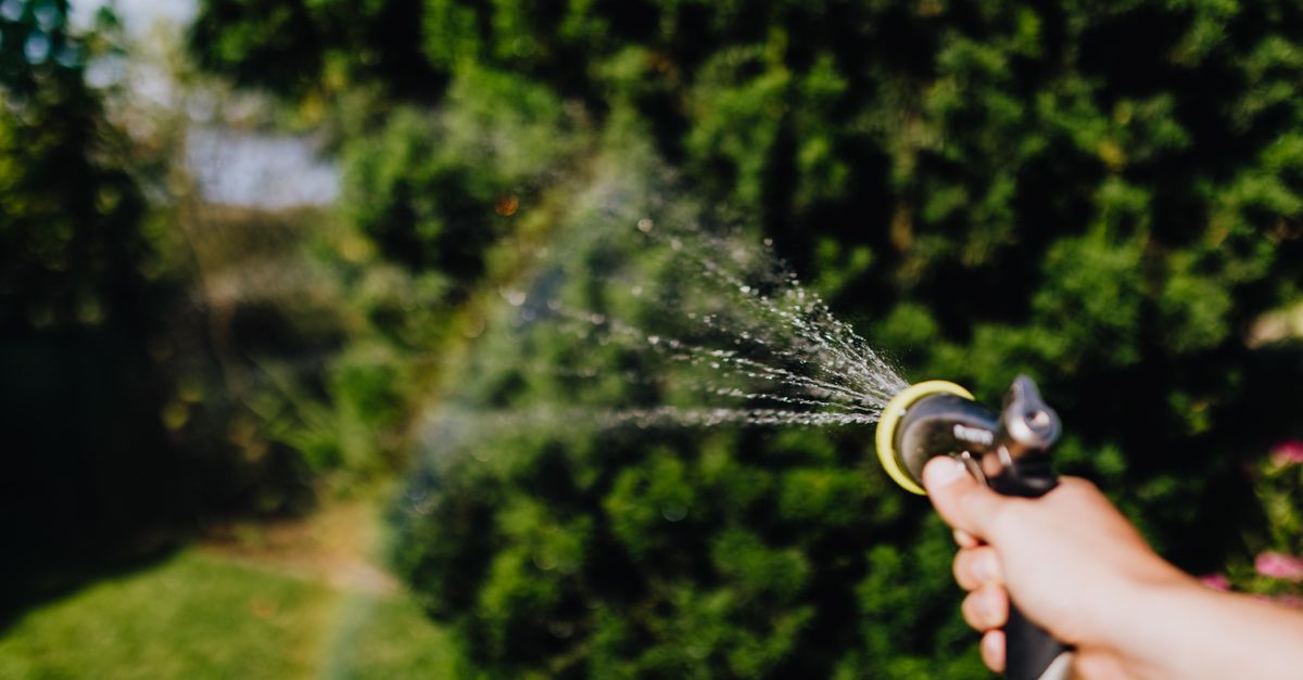 découvrez des conseils pratiques et des méthodes efficaces pour la conservation de l'eau, préserver cette ressource précieuse et agir en faveur de l'environnement.