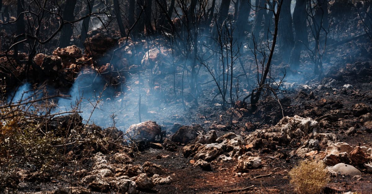 informations essentielles et mises à jour sur les feux de forêt : causes, impacts, prévention et mesures de sécurité pour protéger l'environnement et les populations.