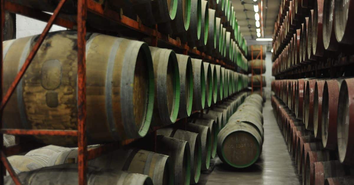 découvrez notre winery, un domaine viticole d'exception où tradition et passion se rencontrent pour offrir des vins authentiques et raffinés.