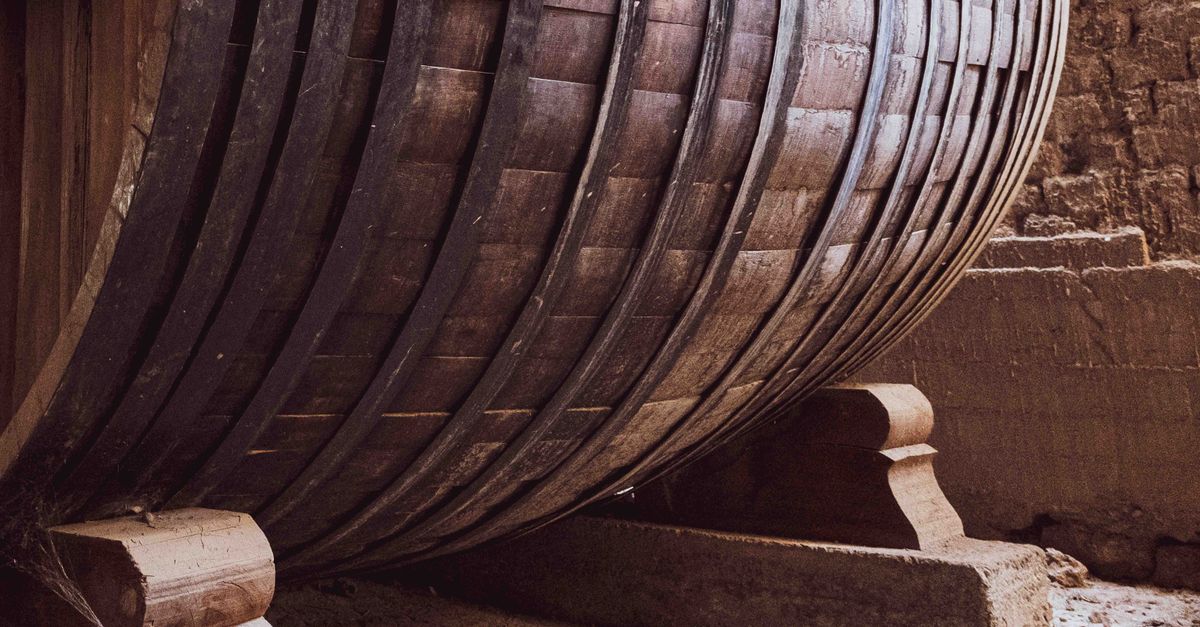 découvrez notre winery, un lieu d'exception où tradition et passion du vin se rencontrent pour vous offrir des crus d'exception.